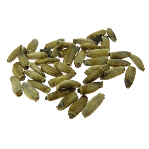 SEMENÁ MILIKA 500 g