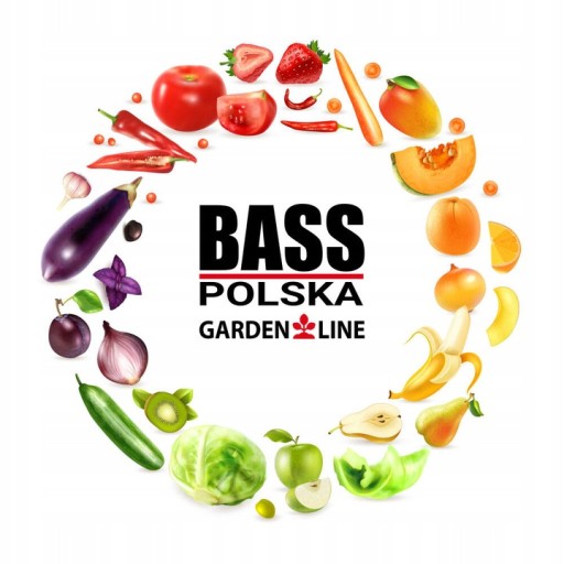 SADA STRIEKAČOV NA AKUMULÁTOR 2 DÝZY + PISTOL