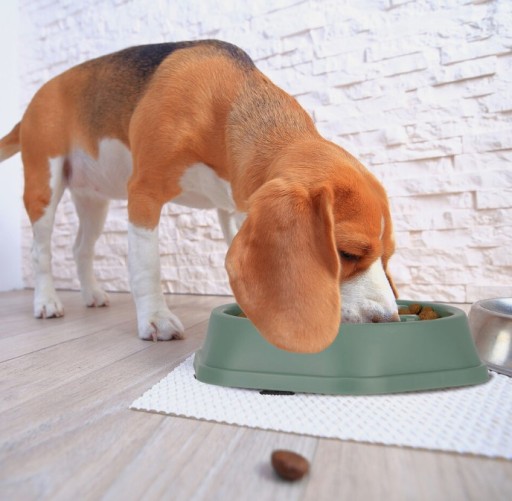 Protišmyková kostná spomaľovacia miska pre DOG 18, zelená