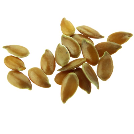 HNEDÉ ĽANOVÉ SEMIENKA 1 KG