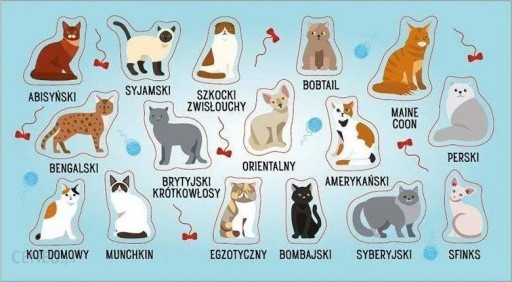 Samolepky mačiek Mačka chová 16 samolepiek