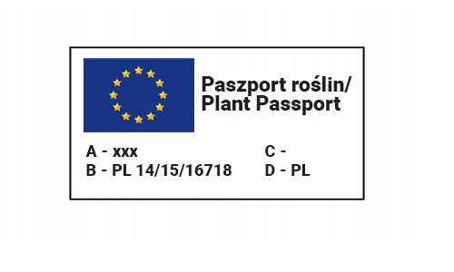BIO Klíčky rukoly 10 g