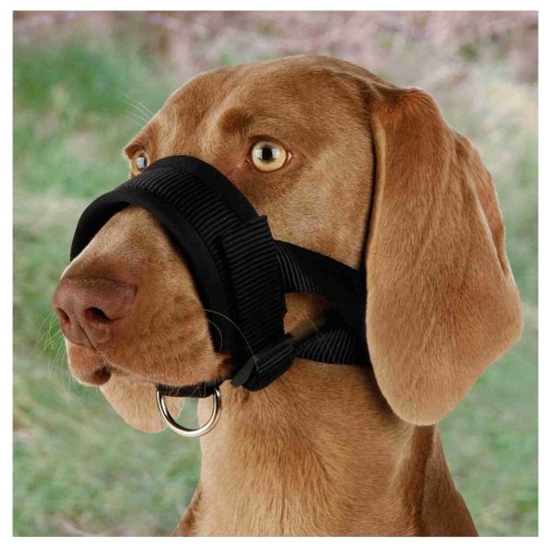 Trixie nylonový BRIDLE náhubok pre psa L
