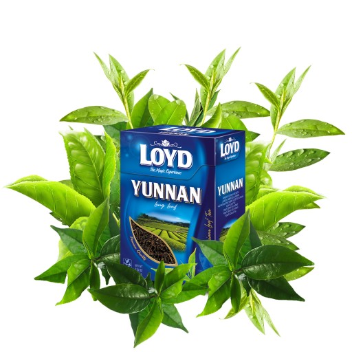 Čínsky Yunnan Long Leaf Čierny čaj Bohatá chuť 80g LOYD