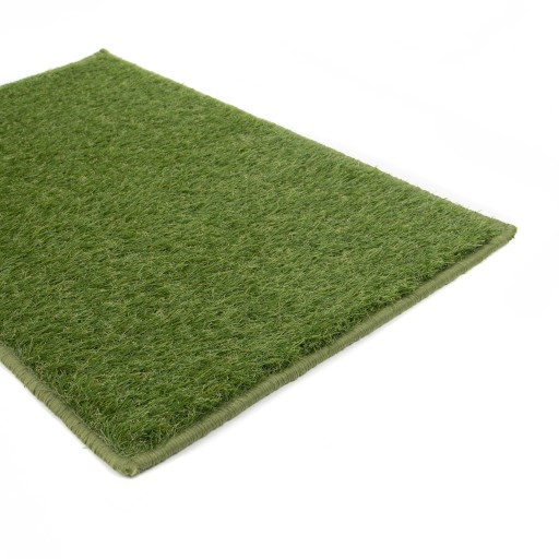 VCHODOVÁ ROHOŽKA do topánok Grass HAV 40x60cm