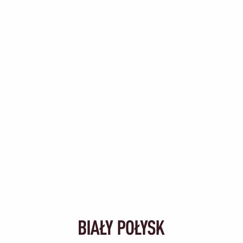 Altax Rýchloschnúci biely smalt 0,25l