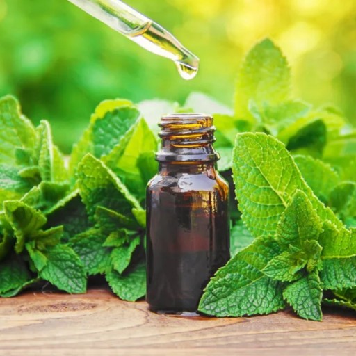 EUKALYPTOVÝ OLEJ NA CHLADNUTIE BOLESŤ HLAVY BEH SINUS INHALÁCIA 12ml