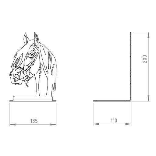 Podpora kníh Knižničná škola HORSE
