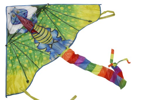DRAK ZELENÝ DRAK 115CM X 55CM E1241 EMAJ
