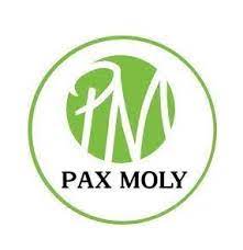 PAX MOLLY Plechová maska so zeleným čajom