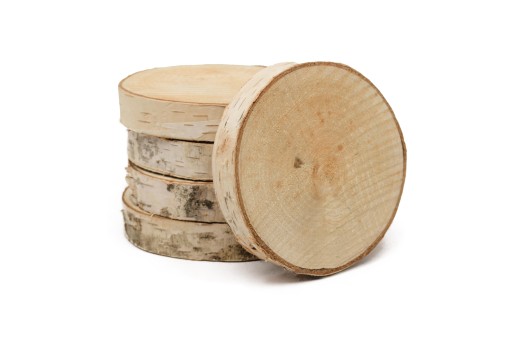 Plátok suchého dreva 16-20 cm, kvalitné neplesnivejúce brezové kotúče