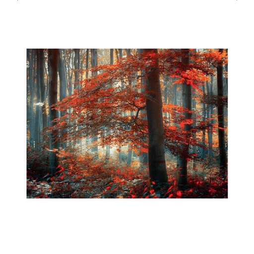 Diamantové vyšívanie Diamond 30x40cm Forest DPX-02838