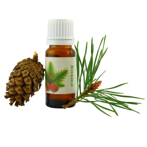 Vôňa na sójové sviečky Borovica 10 ml