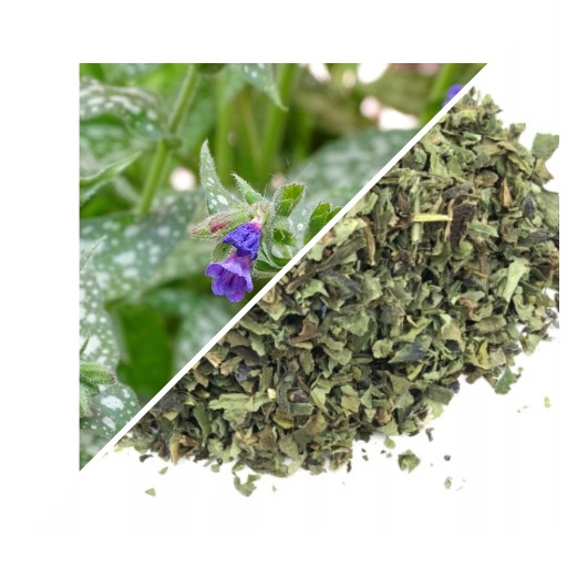 LINGAGE HERB LINGAGE HERB 50 G - LUBLIN HERBARIAN