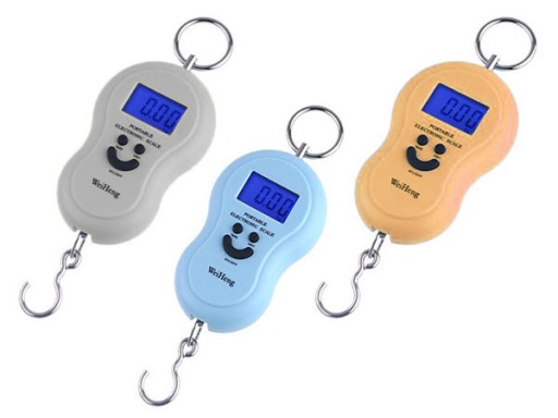 DIGITÁLNA HÁKOVÁ VÁHA S FUNKCIOU PRIDRŽANIE A PODSVIETENÍM LCD 50kg/10g