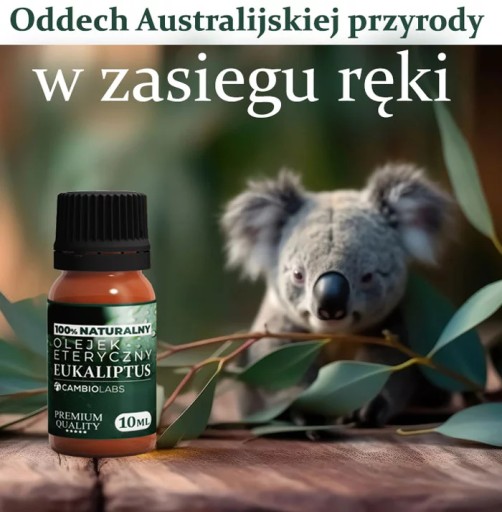 EUKALYPTUSOVÝ ESENCIÁLNY OLEJ, DÝCHACÍ OLEJ, pre voňavé studené CambioLabs