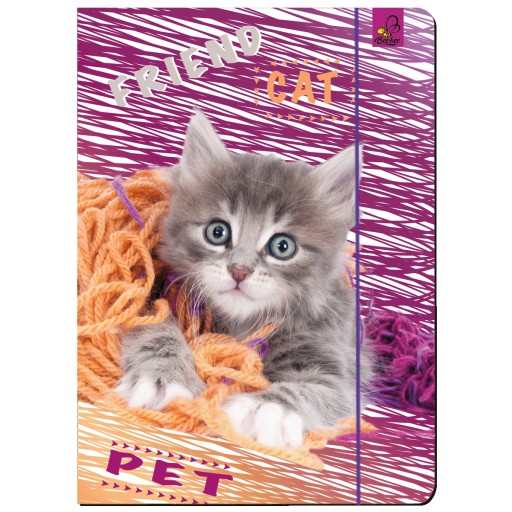 A4 leporelo so zvieratkami CAT MAČIATKO MAČIATKO