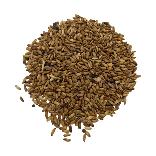Osemená ostropestreca mariánskeho 1kg prírodné ČERSTVÉ