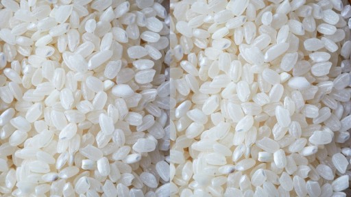 Perfektná ryža na Sushi Nakato 1kg - prémiová ryža