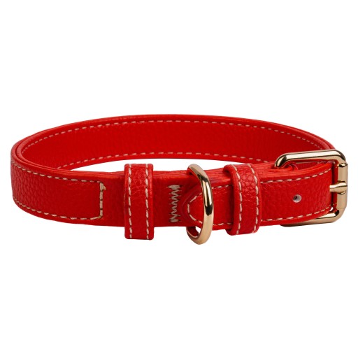 Obojok pre malého psíka GOLD BUCKLE farby 35cm S