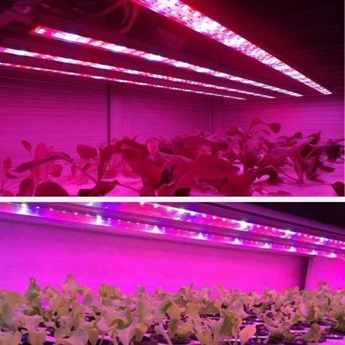 GROW 5630 FullSpectrum LED pásik pre rast rastlín