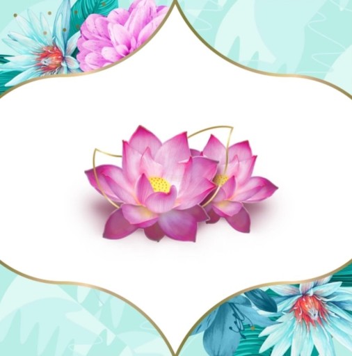 Diskrétne hygienické vložky Deo Waterlilly Multiform 20 ks