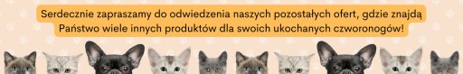 Hračka pre psa naliata loptička neškrípe, silná S