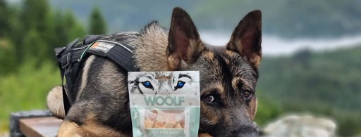 BRIT WOOLF MÄKKÉ KOCKY KRÁLIKA MONOPROTEÍN 100g