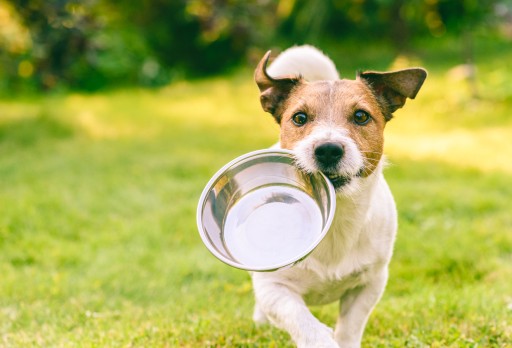 Brit Care Dog | Mini | ŠTEŇA JAHNIČKA 85g