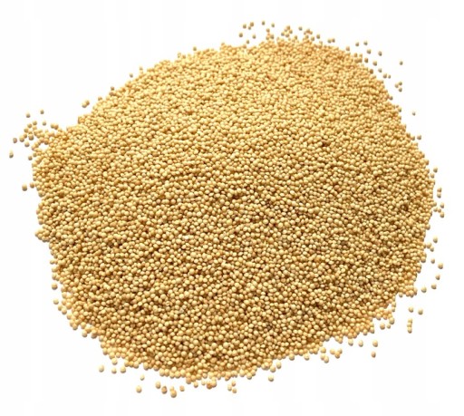 AMARANTUS SEED 1kg AMARANTUS SEED VÝBORNÁ KVALITA