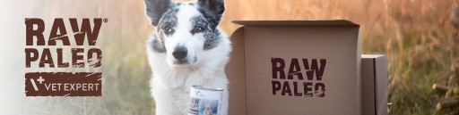 Monoproteínové mokré krmivo pre šteňatá s hovädzím mäsom Raw Paleo Puppy 400g