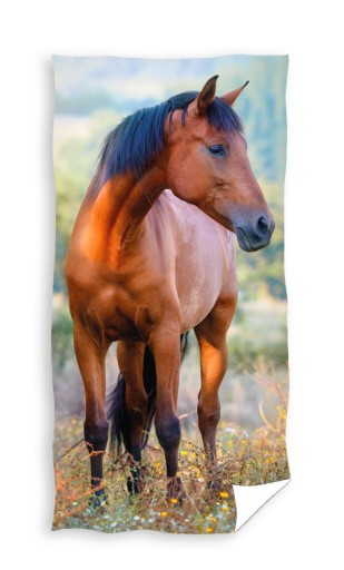 Osuška HORSE MUSTANG do škôlky 30X50