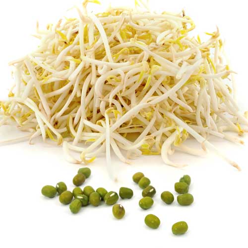 MUNG FAZUĽA - semienka na klíčky 10g