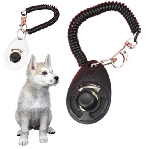 VÝCVIK CLICKER PRE PSOV VÝCVIK VÝCVIKU CLICKER METÓDA POSLUŠNOSTI