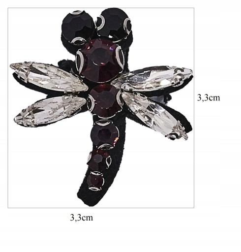 Nášivka DRAGONFLY INSECT na prišitie na ZIRKÓNY