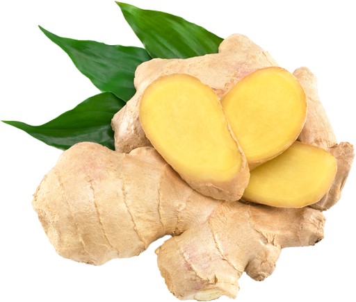 Nakladaný biely zázvor na sushi 240g GTB Natural