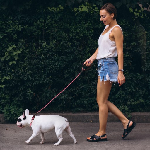 Reflexné odnímateľné vodítko pre psa + obojok 1,5m sada modrá