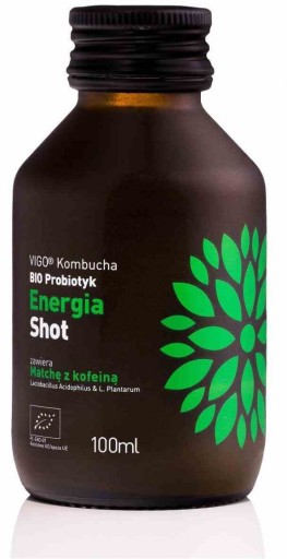Kombucha BIO Probiotický Energy Shot 100ml