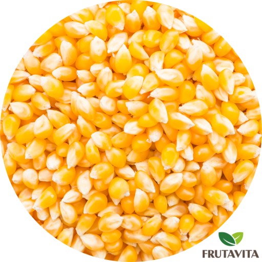 Popcorn na praženie 1000 g, kukuričné zrno 1 kg