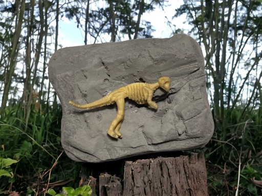 Vykopávky kostra dinosaura fosílna šedá