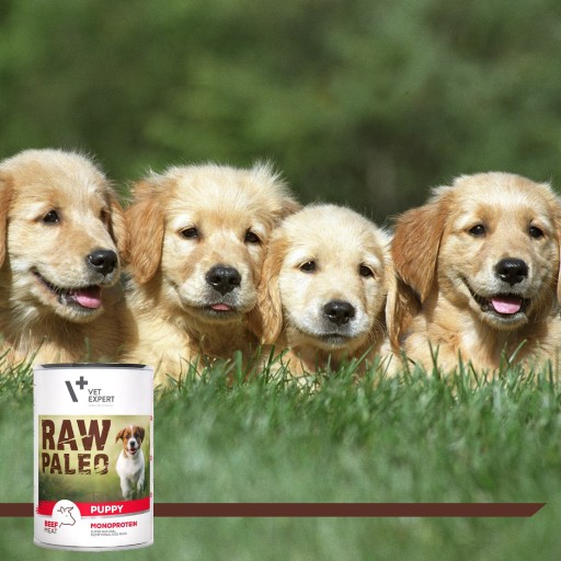 Monoproteínové mokré krmivo pre šteňatá s hovädzím mäsom Raw Paleo Puppy 400g