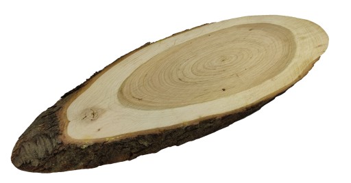 PLÁSOK KONSKÉHO DREVA, ELIPTICKÝ, ŠIKMÝ, 30-35 CM, DEKORATÍVNY PODNÁK, DREVO