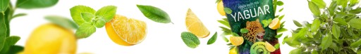 Yerba Mate Yaguar Menta Limon Mint 0,5kg 500g