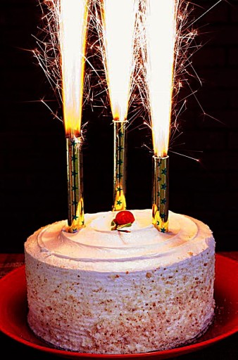 TORTA FONTÁNA STRIEBORNÁ NÁDRŽKA NA TORTY 12CM NARODENINOVÁ SVIEČKA 1 KUS