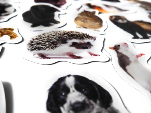 Magnety na chladničku Poznám PETS