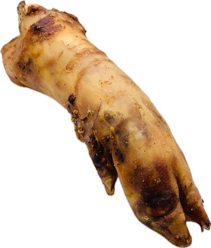 Bravčové stehno XXL Pochúťka pre psa ZUBY Prirodzene sušené 1 ks.
