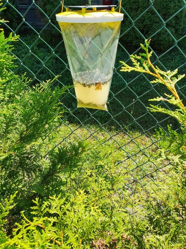 Veľká XXL návnada pre Sideon Fly Trap Fresh Bag