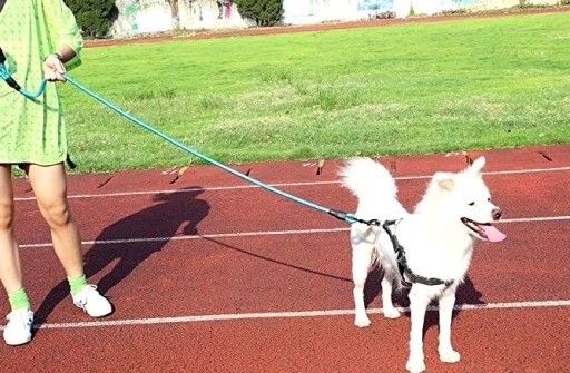 Silné hrubé reflexné vodítko pre psov 1,5 m