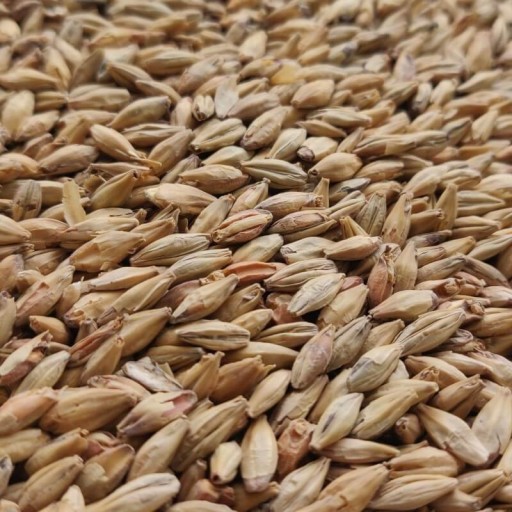 Červený X slad 1kg Bestmalz - Nestrelený