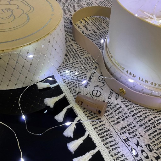 LED FĽAŠA CORPOR, DEKORATÍVNE LAMPY, DRÔTENÁ DEKORÁCIA, 10LED TEPLÁ STUDENÁ